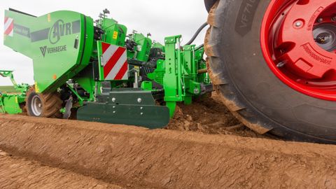 La herse rotative gère sa profondeur de travail en fonction de la profondeur de plantation des tubercules, hydrauliquement.